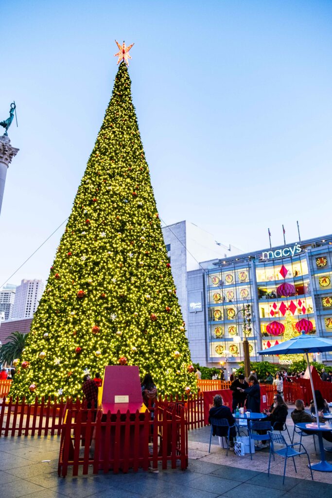 The illuminated Union Square Christmas Tree with Macy’s holiday windows in the background